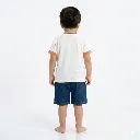 1779303996414.webp