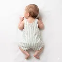 1781026175313.webp