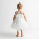 1781371871025.webp