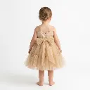 1781372224915.webp