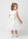 1781621141440.webp