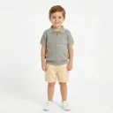 Ensemble Confident