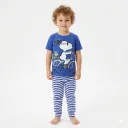 Ensemble Snnopy